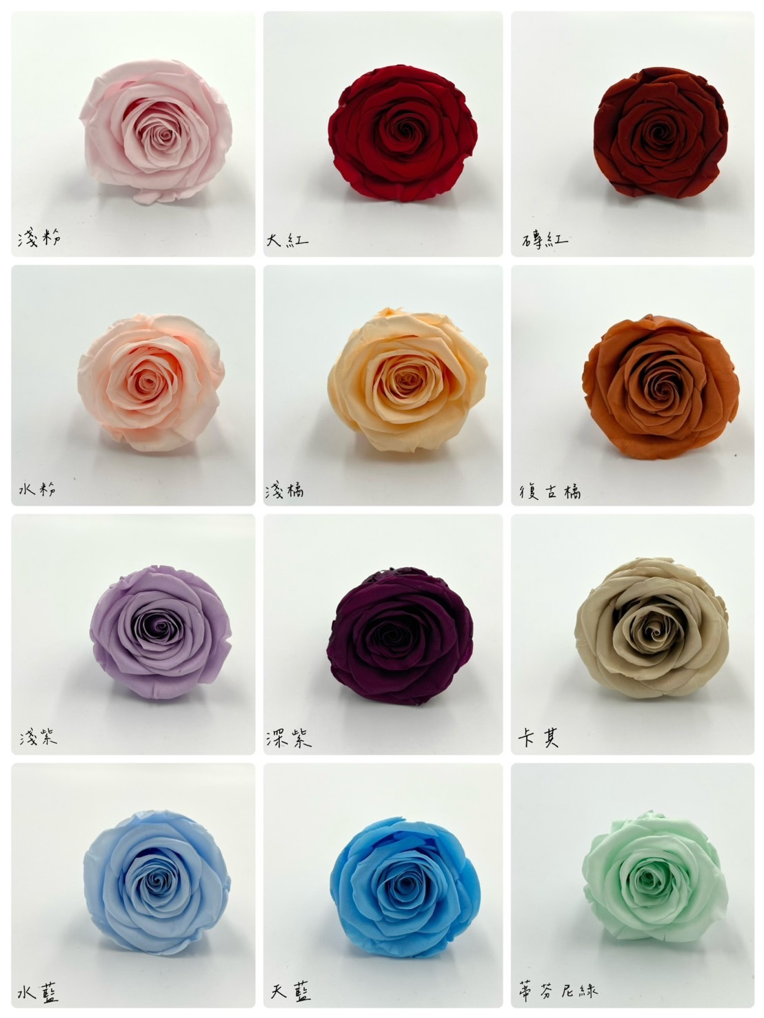 限量厄瓜多不凋玫瑰(無打膠6朵裝)