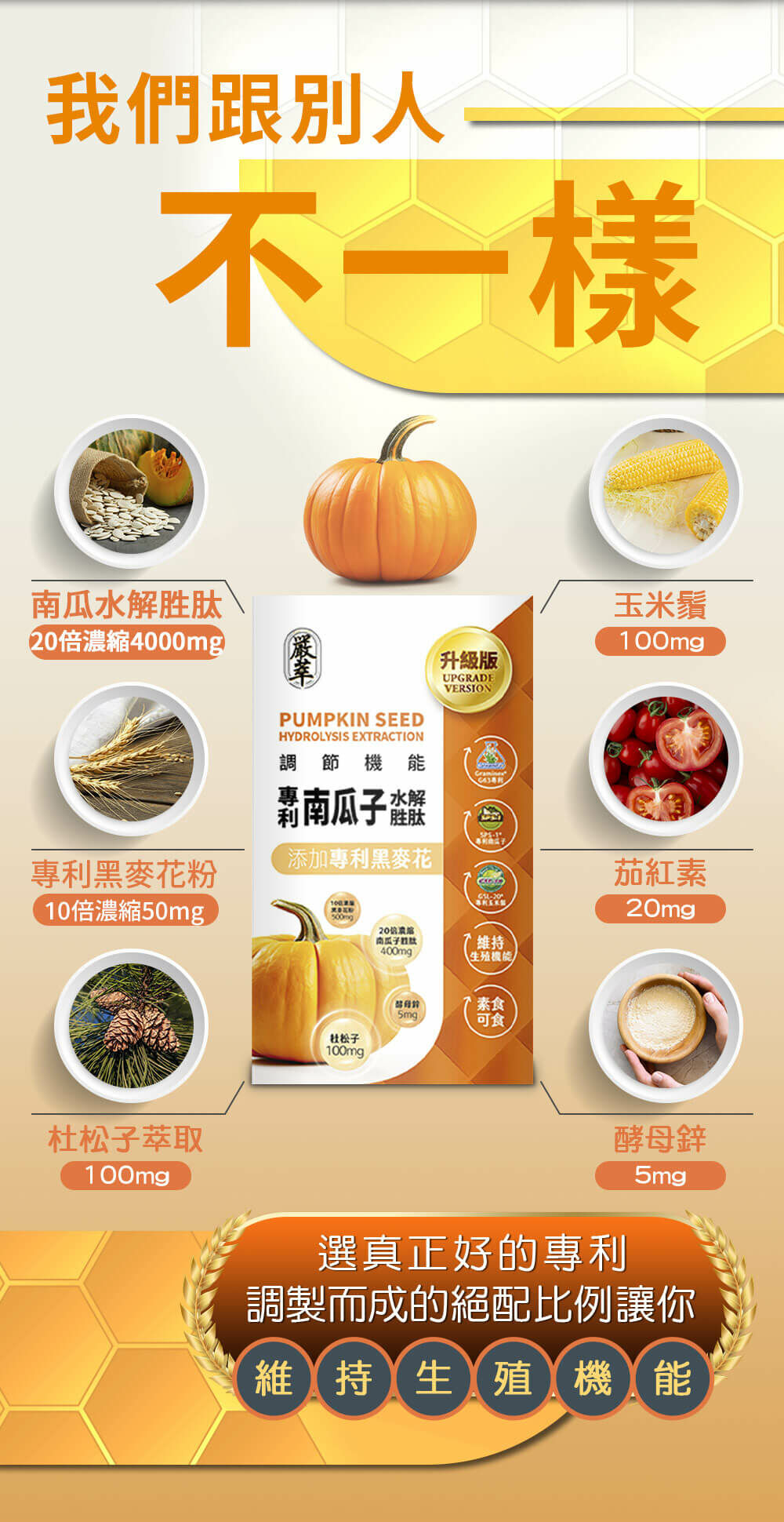 南瓜籽-維持生殖機能-黑麥花-嚴萃保健