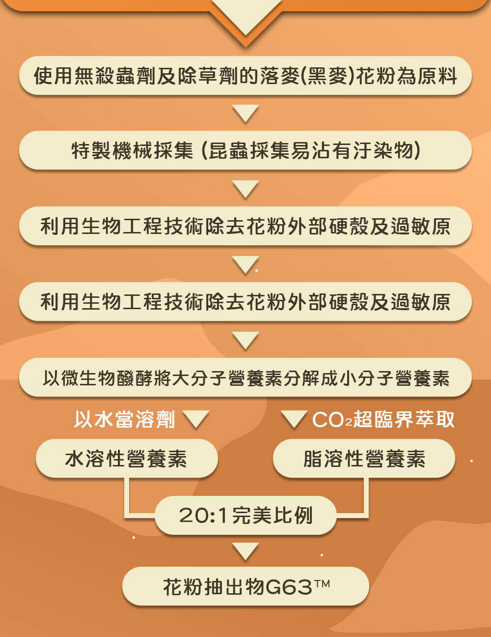 南瓜籽-維持生殖機能-黑麥花-嚴萃保健