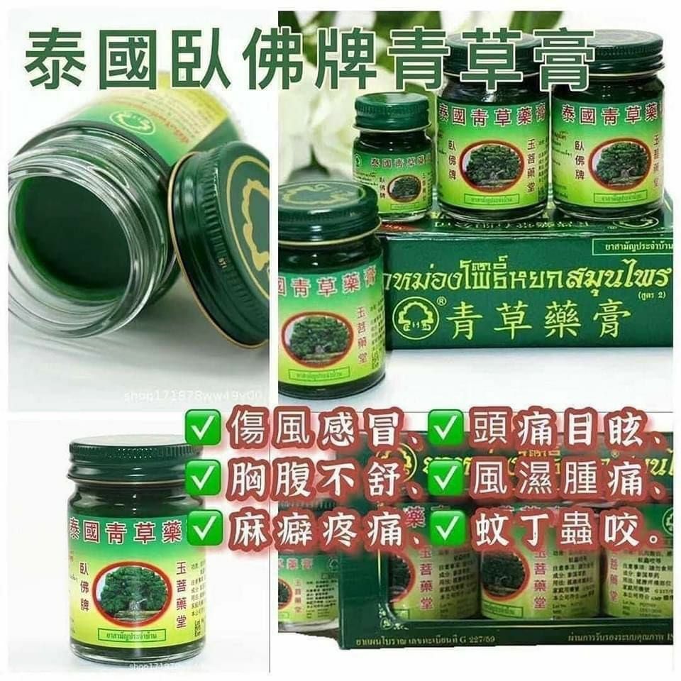 泰國 🇹🇭 臥佛牌 -  WOFOPAI青草膏 50G [#SQ24071606]