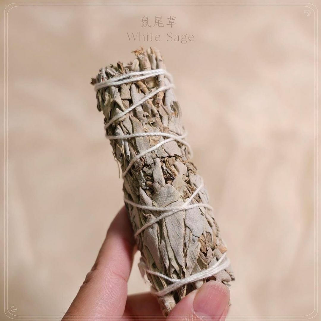 鼠尾草 White sage smudge sticks
