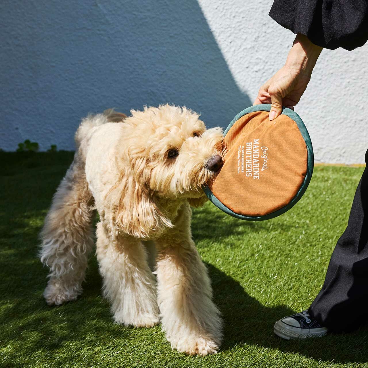 Mandarine Brothers 有聲漂浮飛碟玩具 (3色)