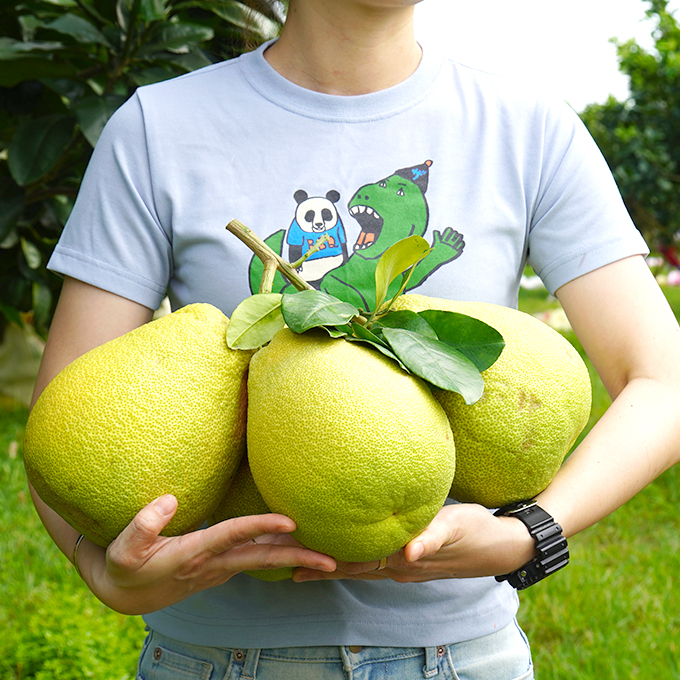 吃大不吃小的紅柚