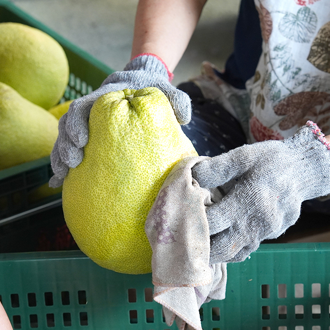 中秋送禮的心意