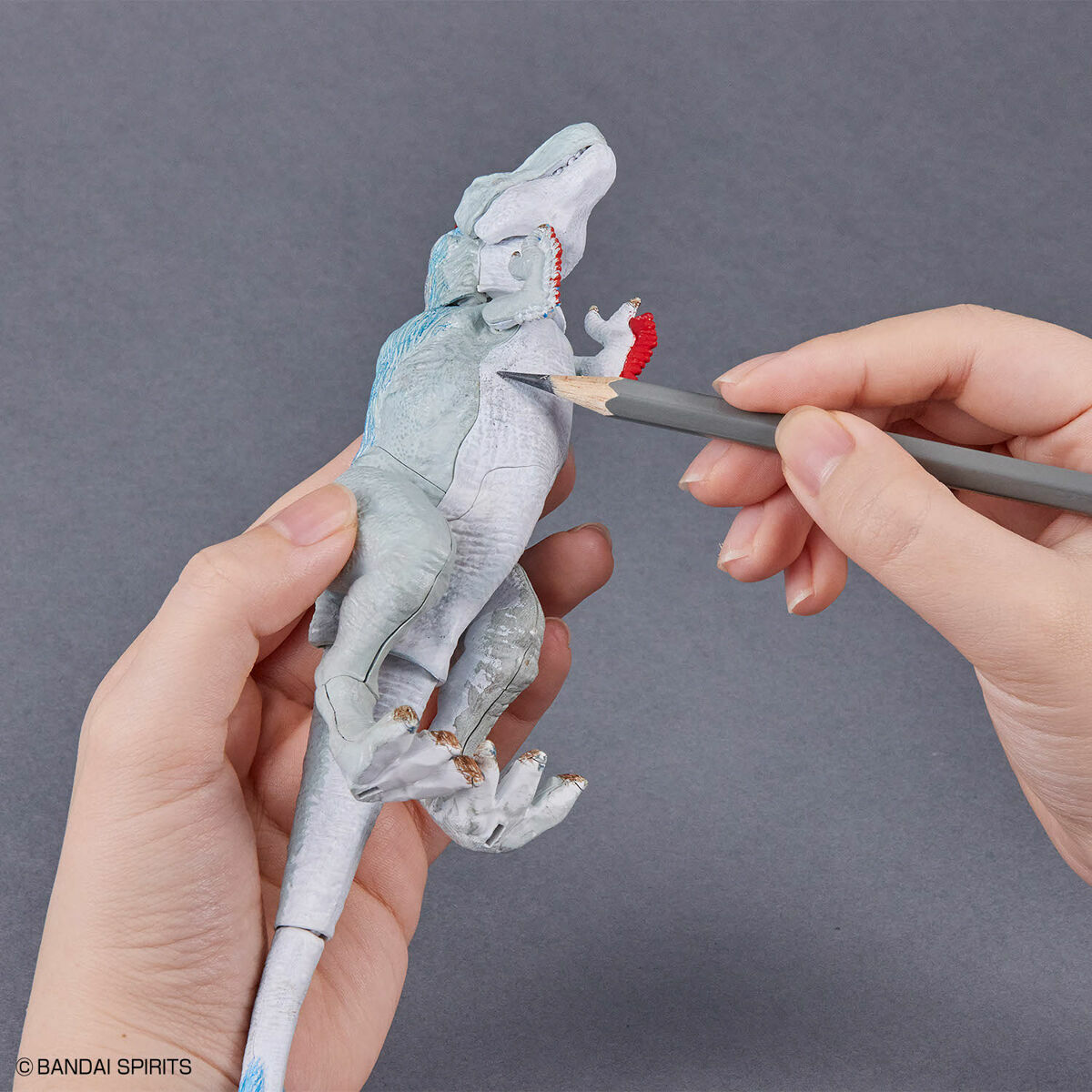 新恐龍模型系列 暴龍 繪色版