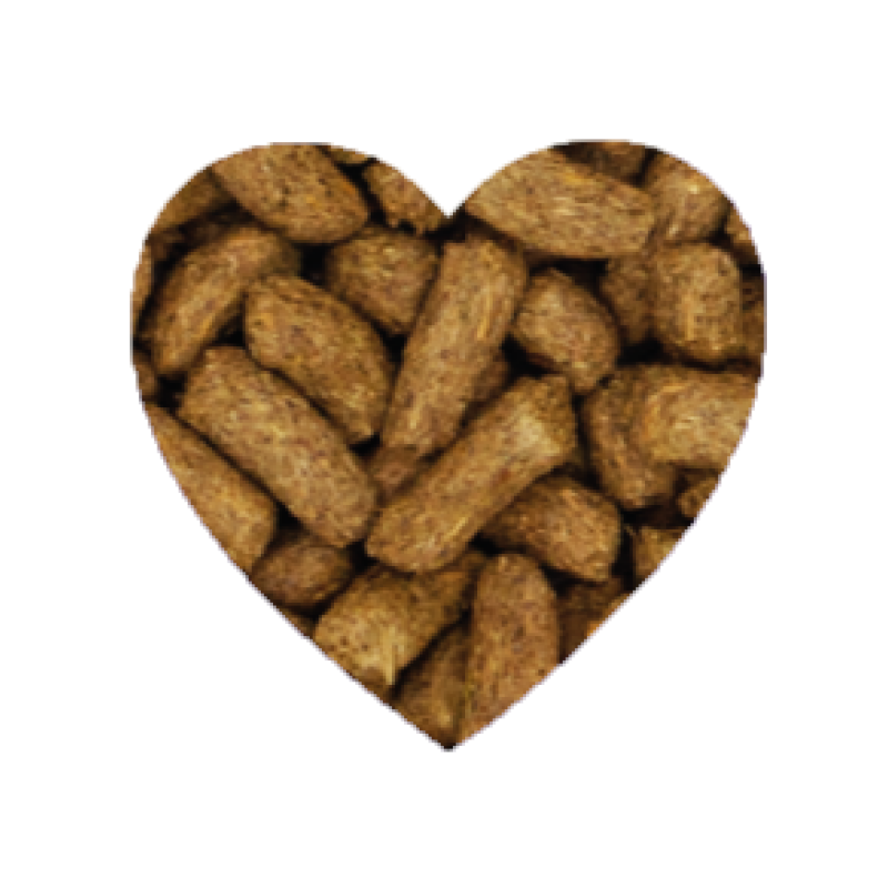 Burgess Excel 薄荷龍貓糧 - 1.5kg