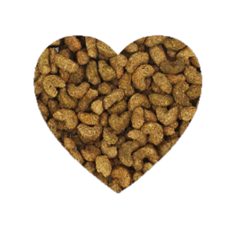 Burgess Excel 室內天竺鼠糧 - 1.5kg