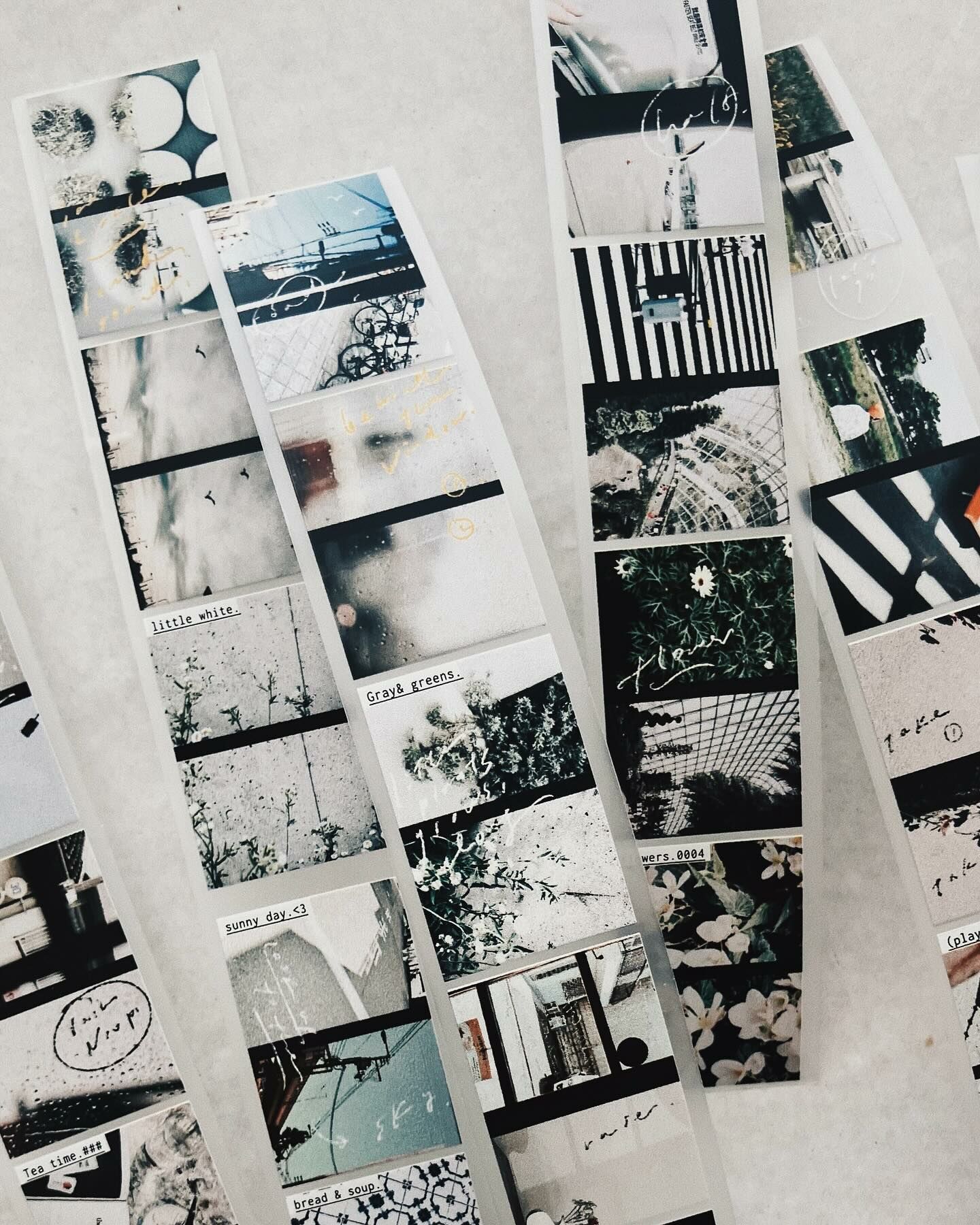 羊君．半日 2.5cm霧面PET膠帶 <整捲/分裝>