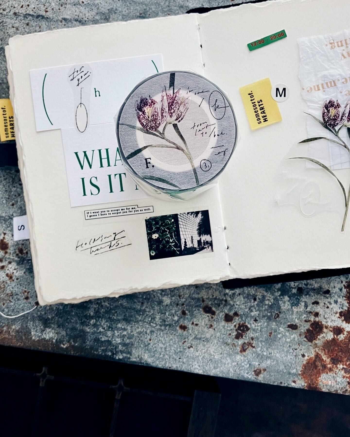 羊君．花格貝母 5cm亮面PET膠帶 <整捲/分裝>