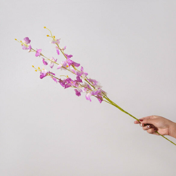 Popular decorative furnishings [Phalaenopsis pink]
