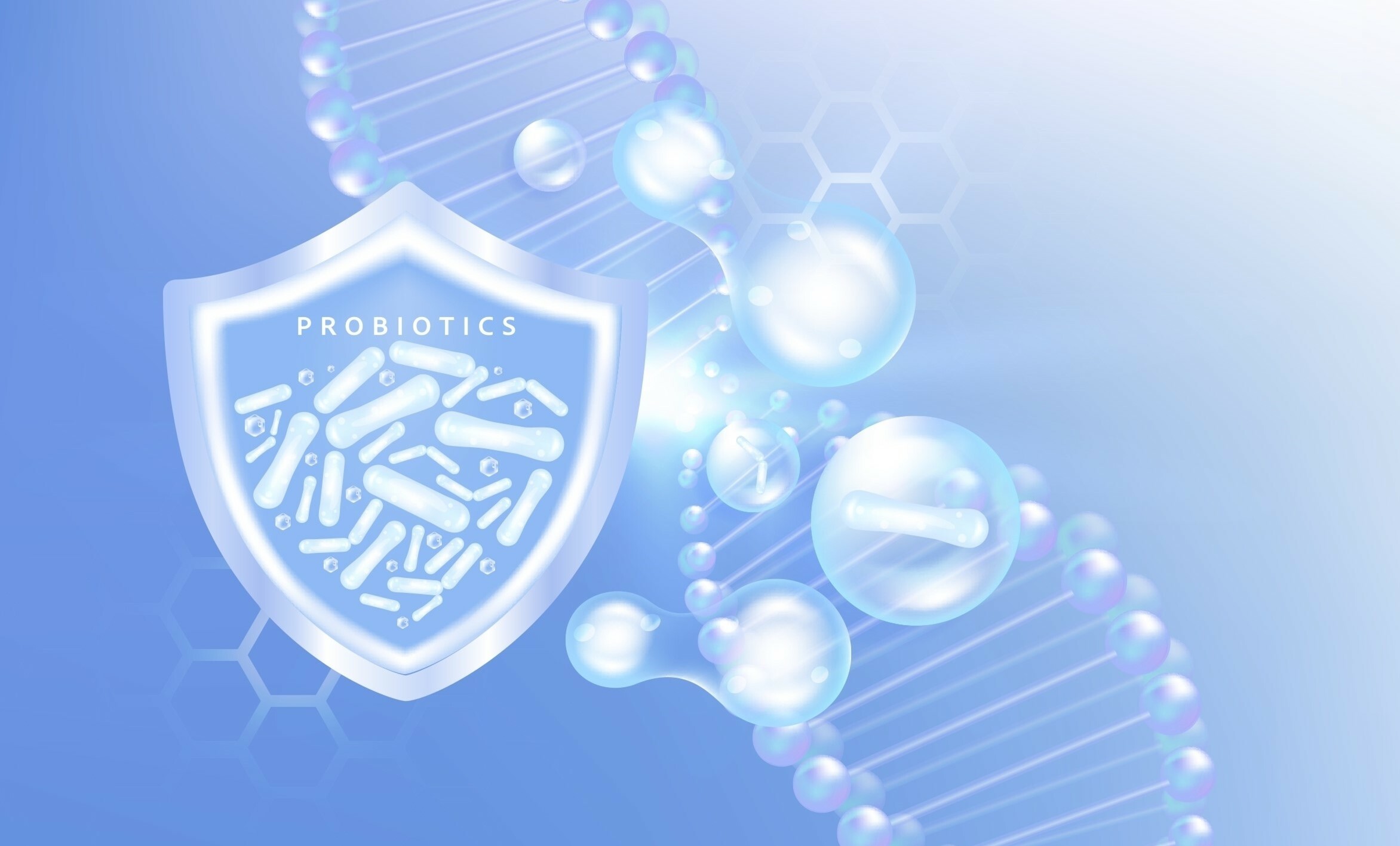 什麼是芽孢乳酸菌(下)-芽孢乳酸菌如何維持健康？