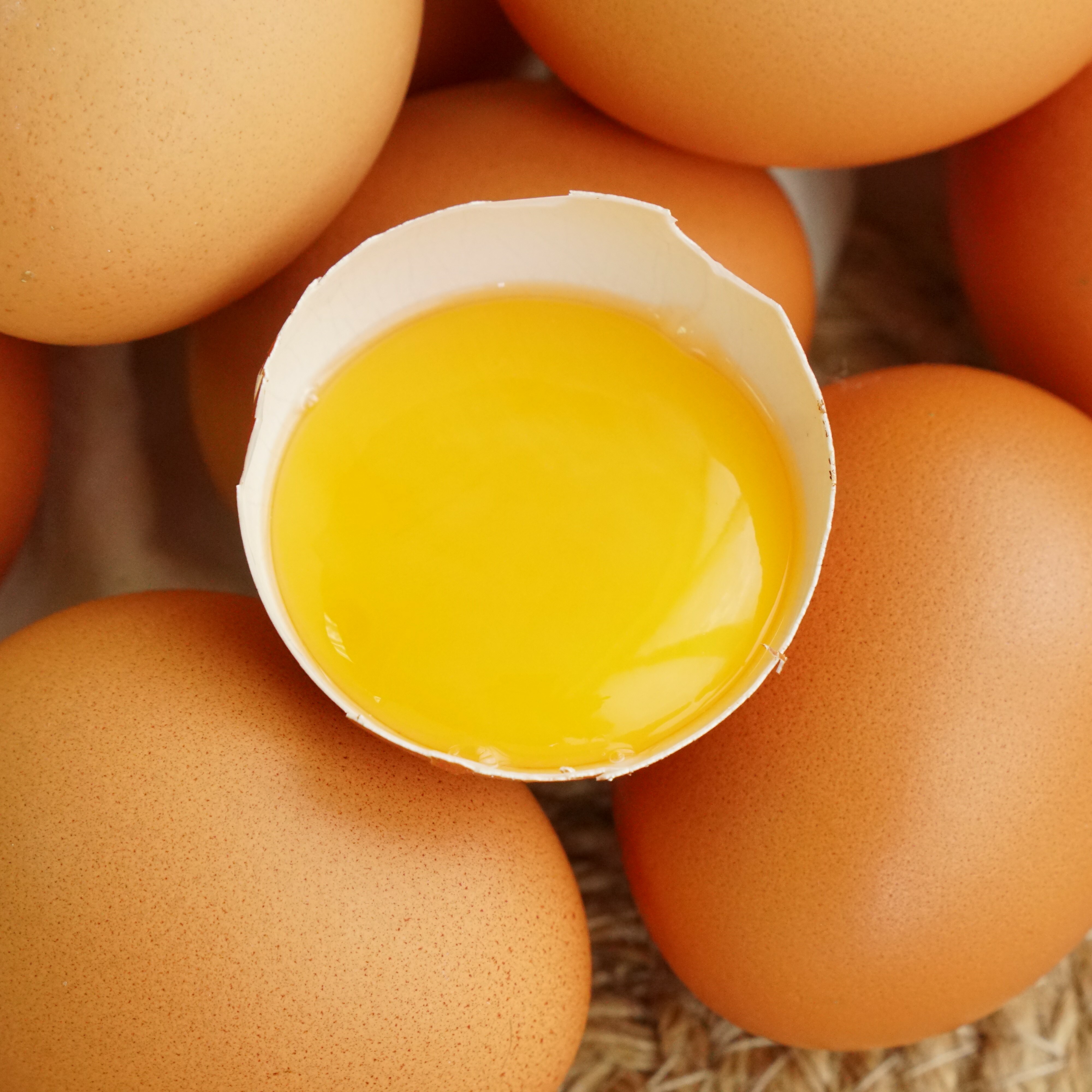 【十八養場獨家聯名】小福蛋10入3盒組