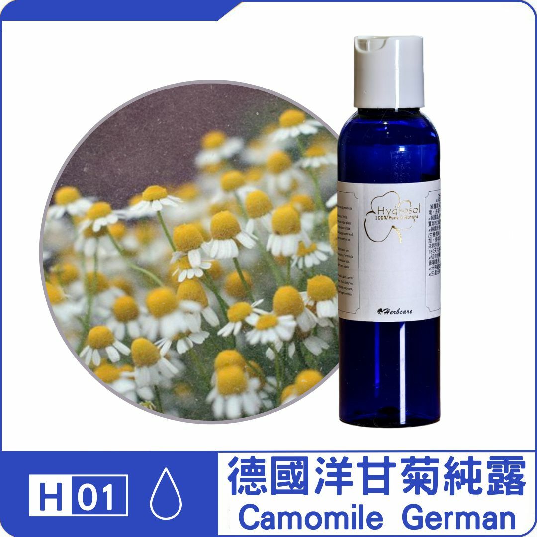 德國洋甘菊純露