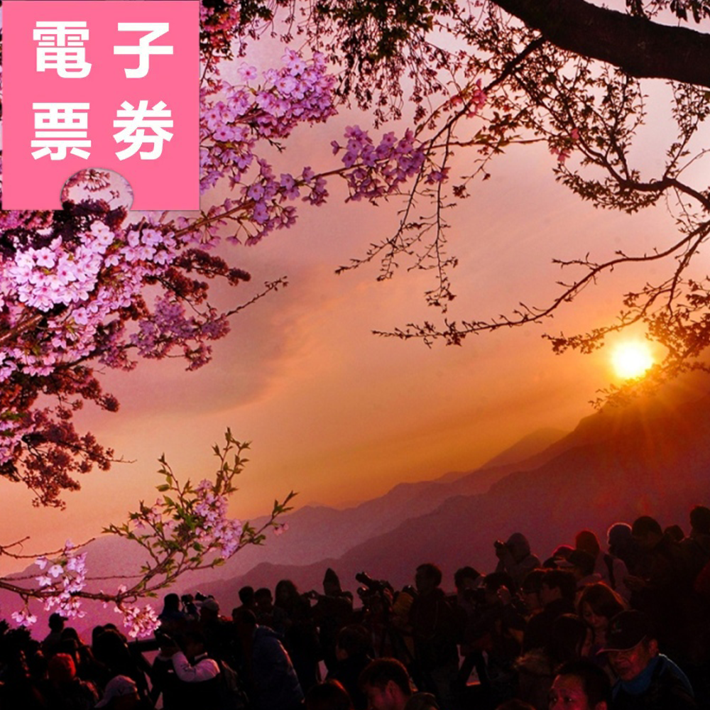 【電子票劵】國人限定｜阿里山國家森林遊樂區半票 Ⓕ