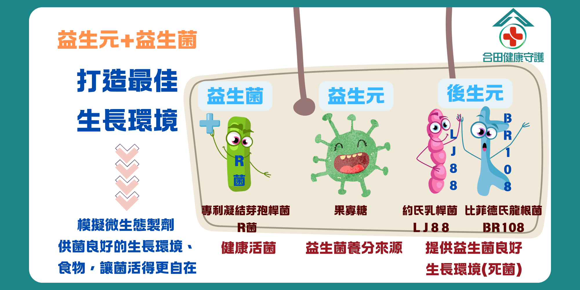 合田健康守護R菌
