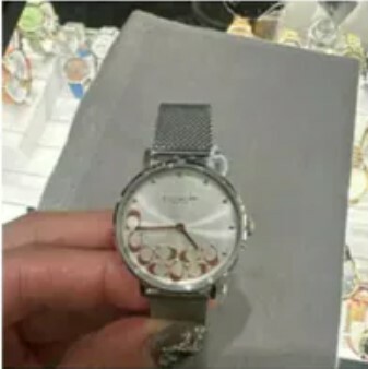 [S] COACH 14503858 PERRY MESH WHITE DIAL WOMEN'S,SILVER, 885997424158 (SZZ469)