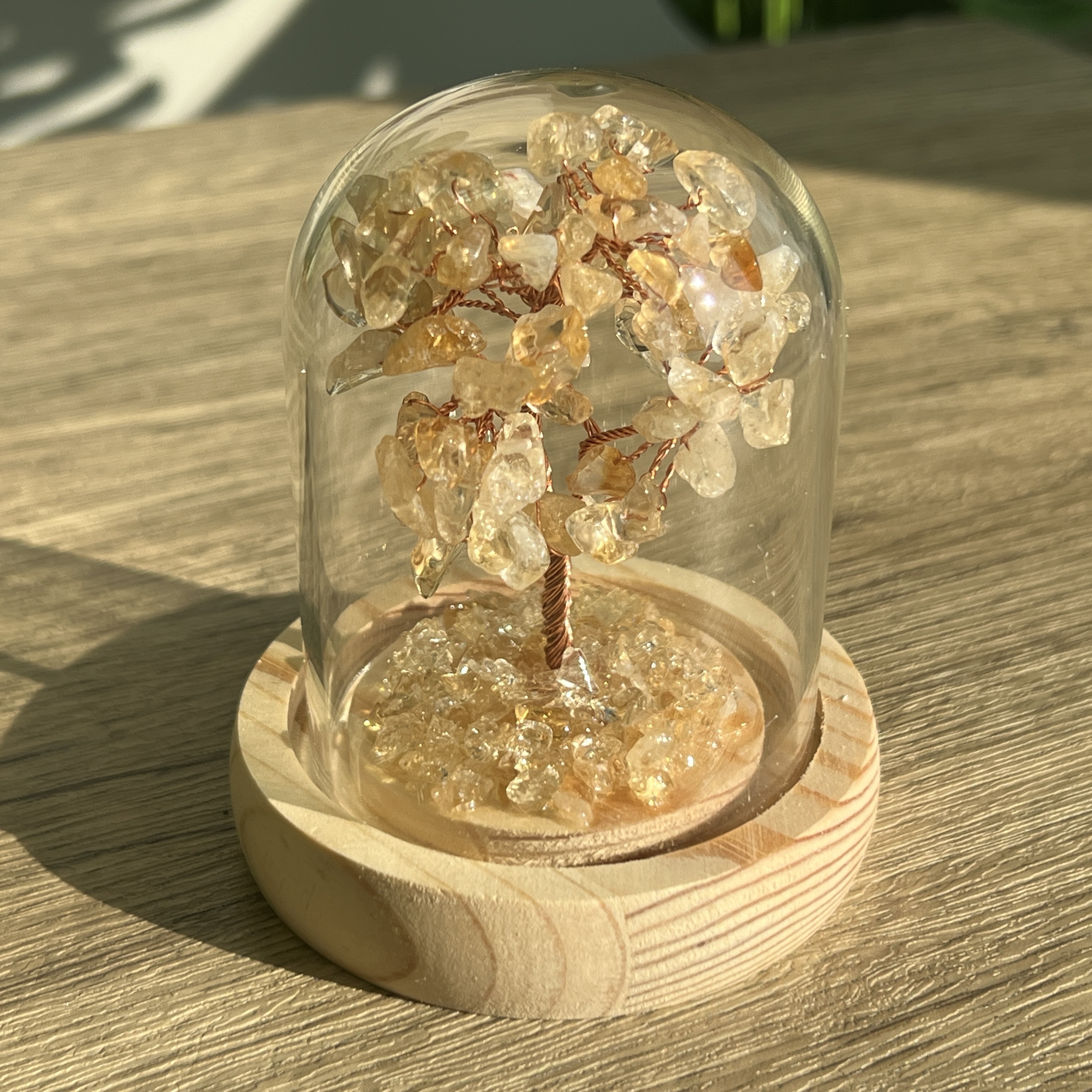 黃水晶招財樹連瓶