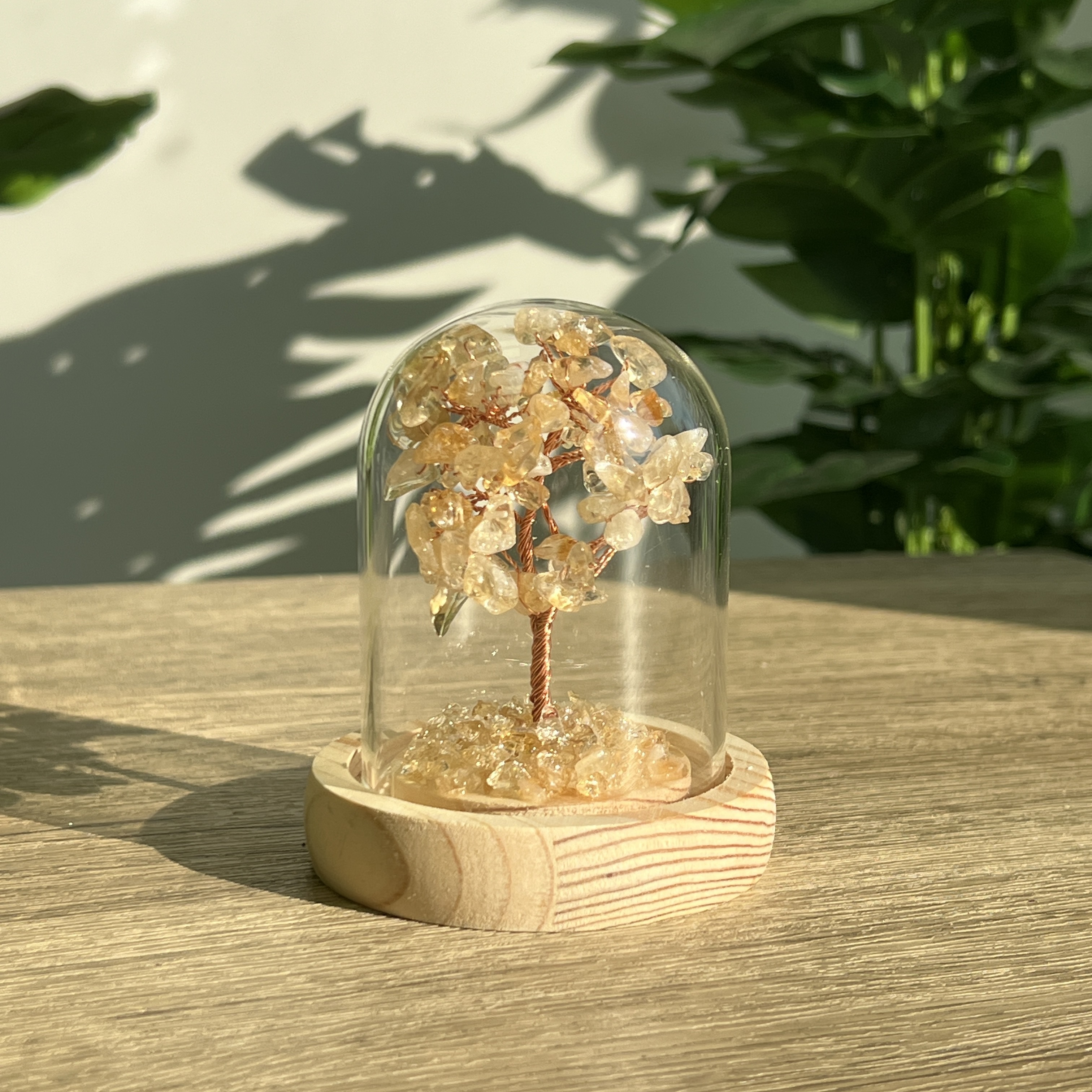 黃水晶招財樹連瓶