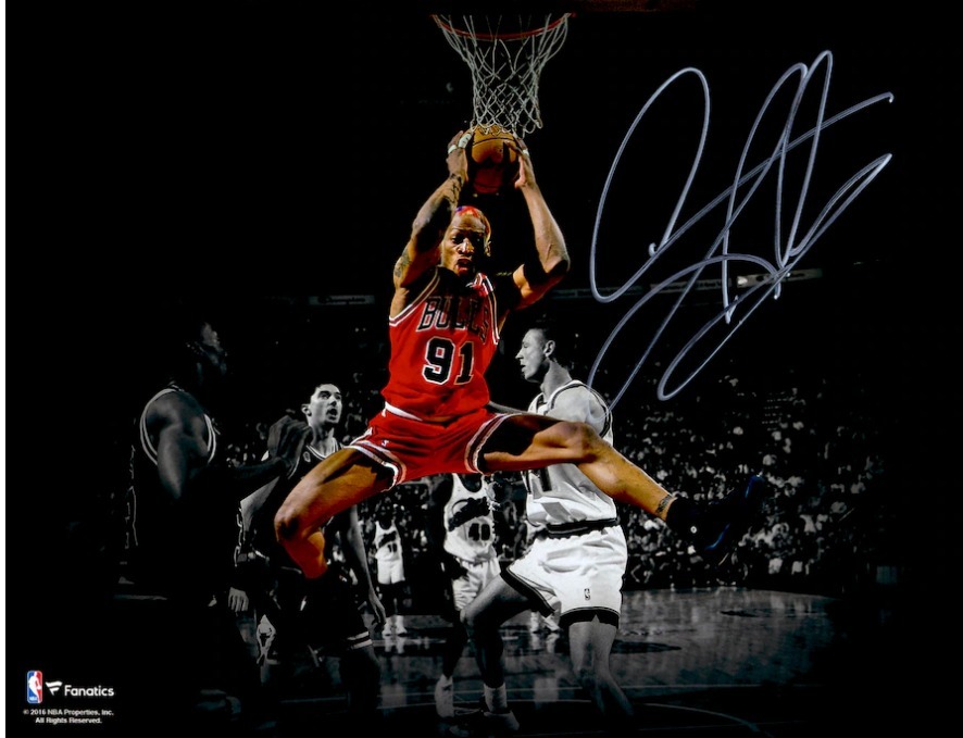 預訂產品!!Dennis Rodman Chicago Bulls  11" x 14" 簽名照片