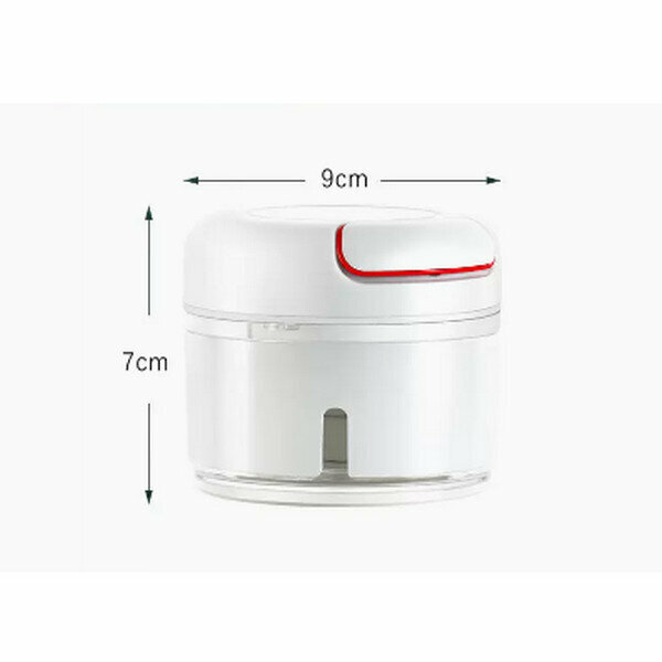 Hot push small manual garlic grinder [mini garlic press]