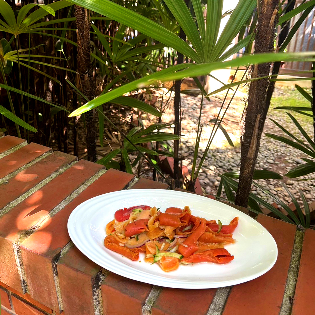 ● 北極熟象拔蚌