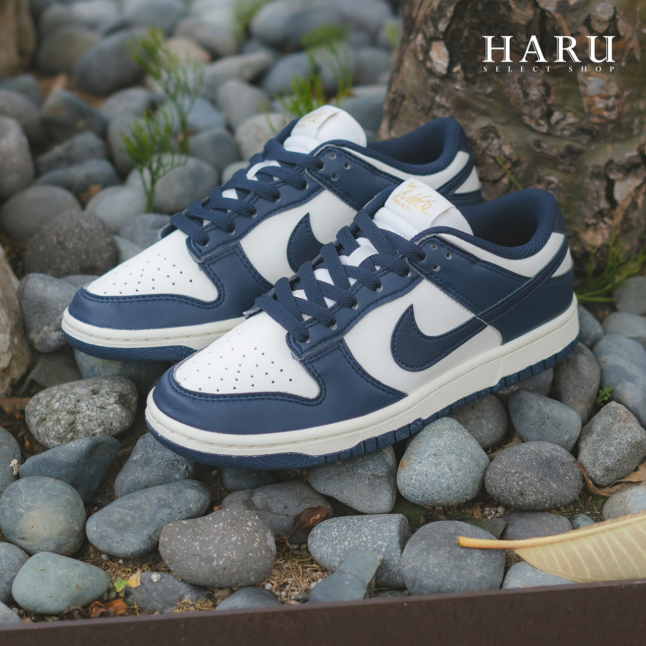 Nike WMNS Dunk Low Next Nature 深藍色FZ6770-001