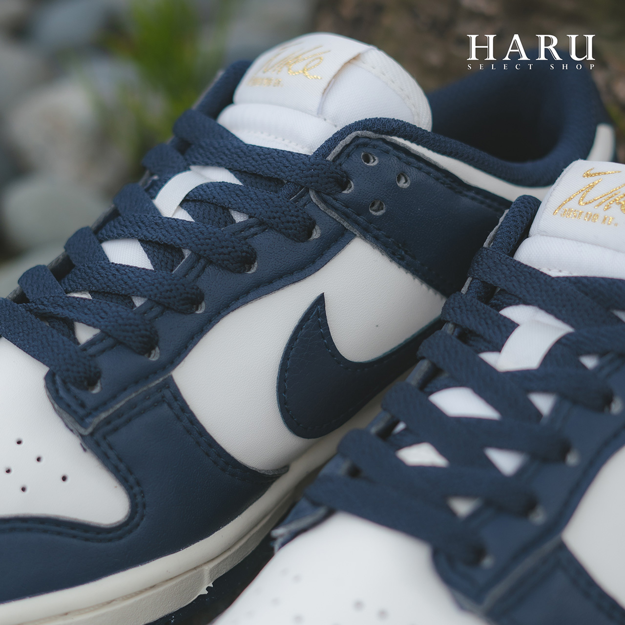 Nike WMNS Dunk Low Next Nature 深藍色FZ6770-001