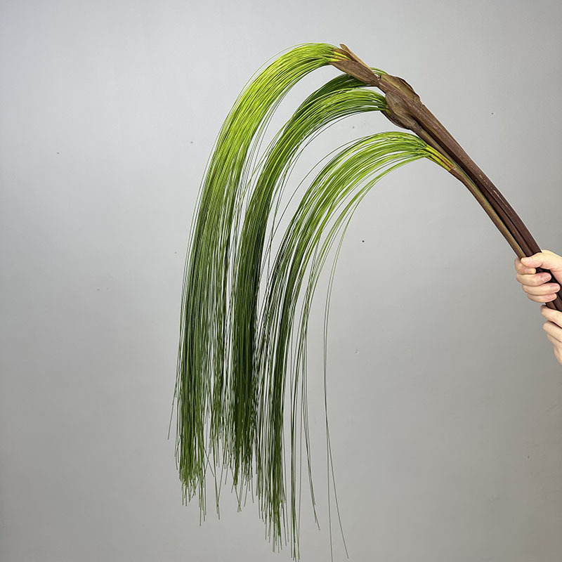 仿真旱草 (垂掛款剛草)