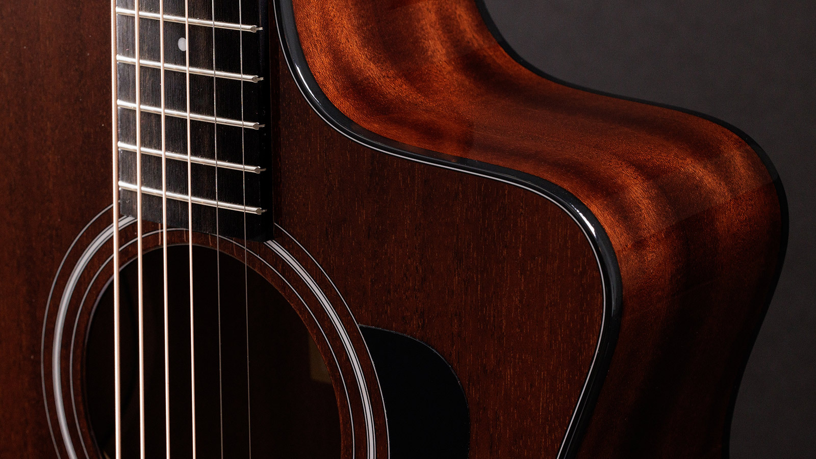 《豪華TAYLOR特仕款》Taylor 224ce Special Edition 桃花心木 面單板 沙比利木側背板 美廠 電木吉他 附原廠琴盒