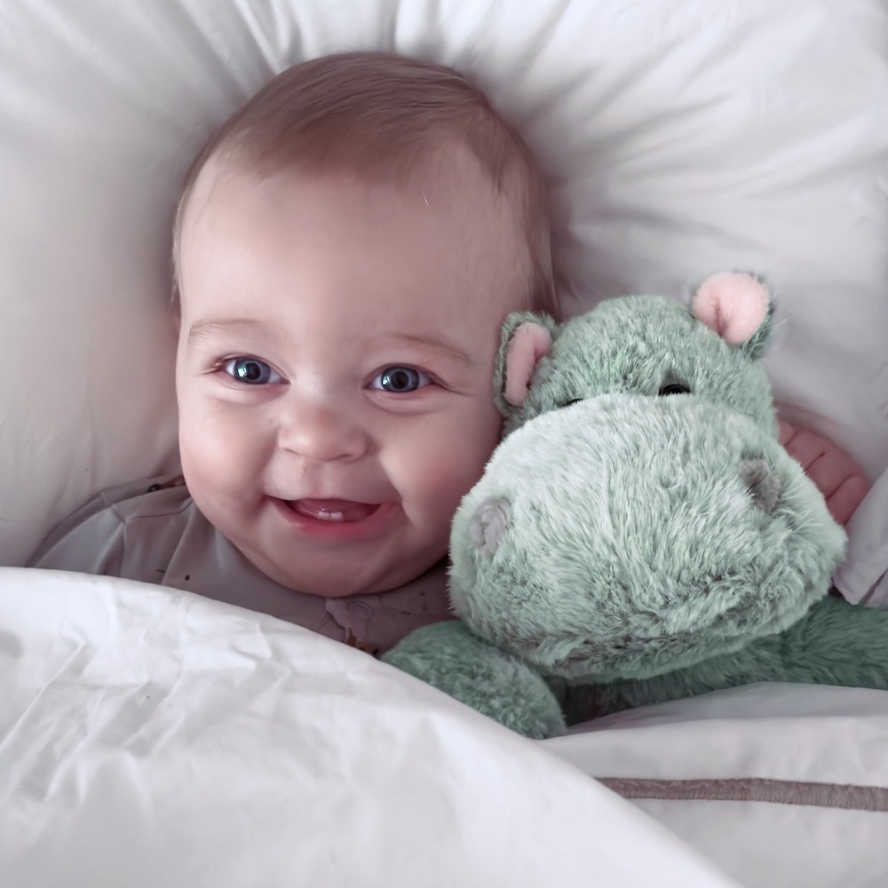 質感選物・河馬・瑞典Teddykompaniet