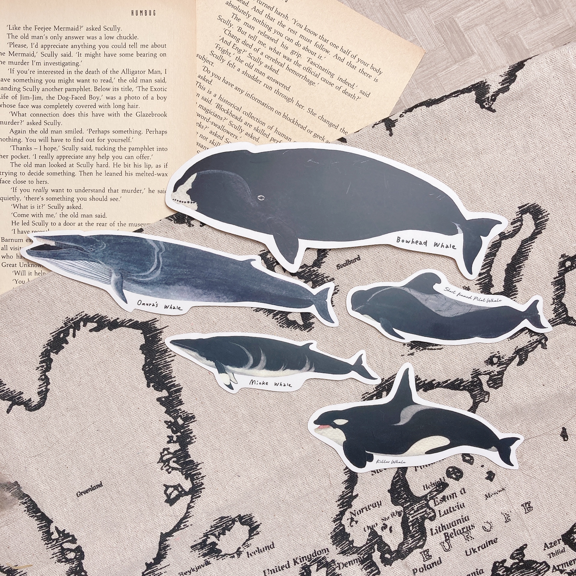 腦海工作室｜防水大貼紙