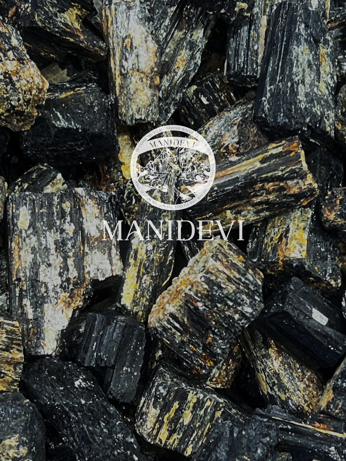 Rs 金龍防護守衛