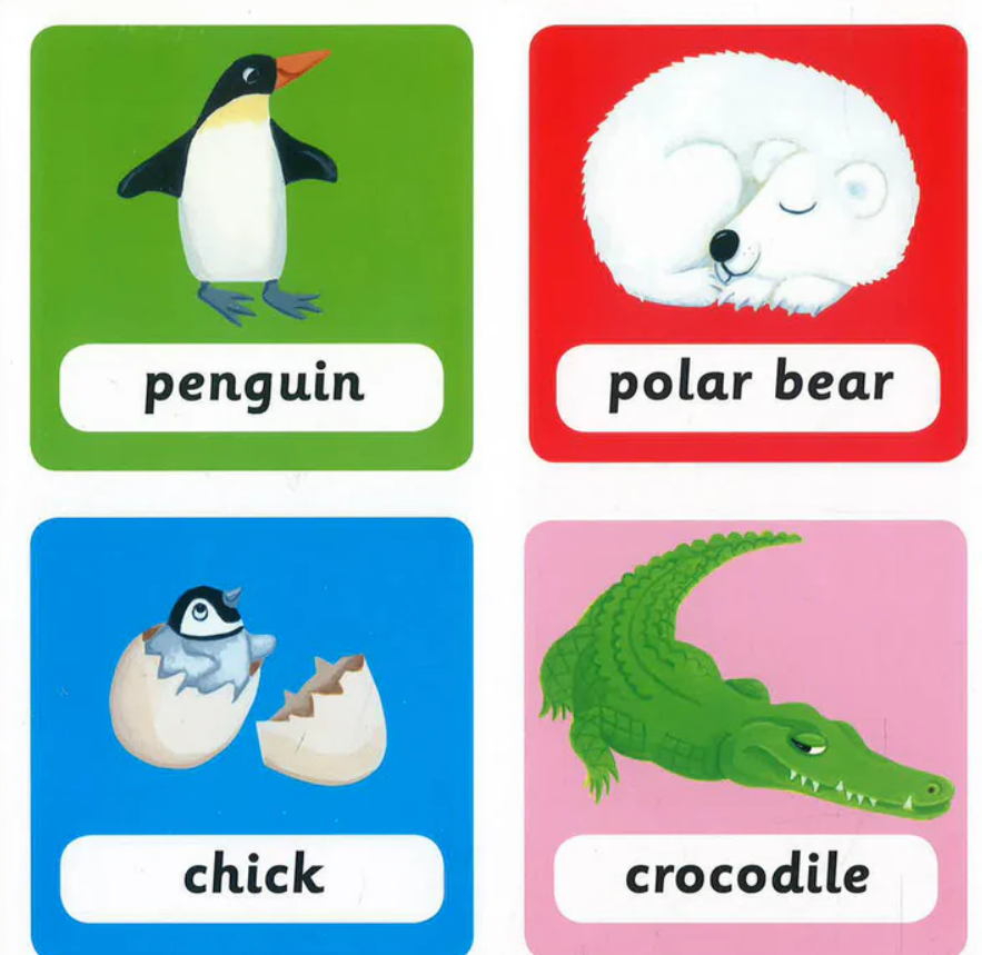 Whats That? Favourite Animals (Boardbook)