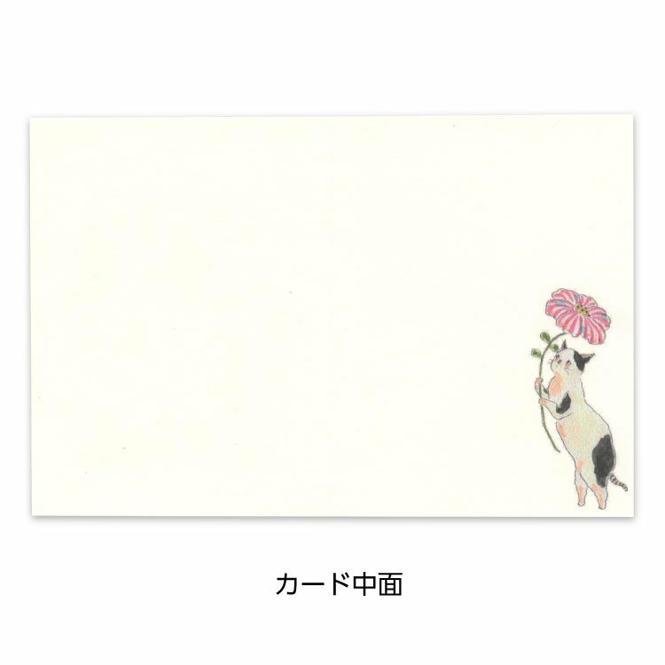 花與貓 迷你生日卡片 トコロコムギ系列 ｜日本ACTIVE CORPORATION