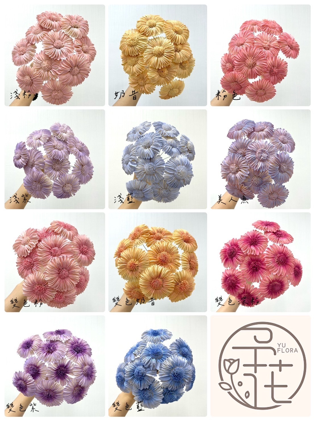 越南索拉花 太陽花(白心) 6CM<十支一把>