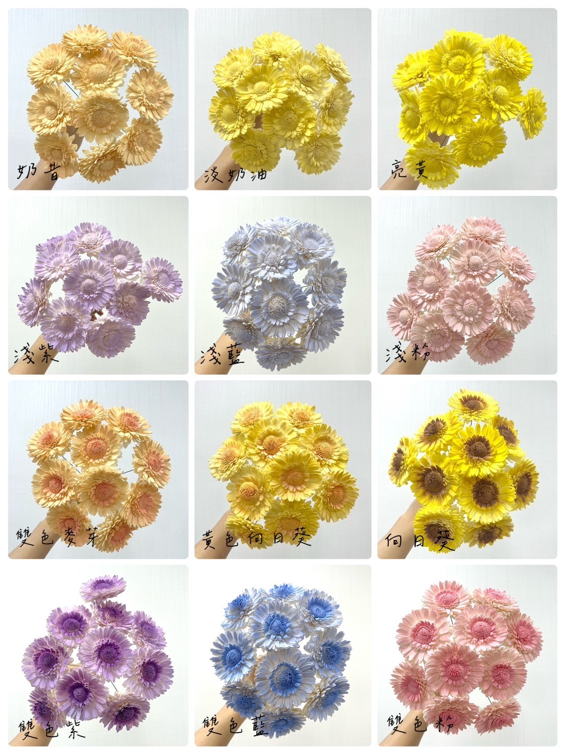 越南索拉花 非洲菊 6CM<十支一把>