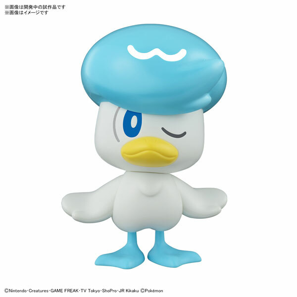 BANDAI 代理版 組裝模型 Pokémon PLAMO 收藏集 快組版!! 19 潤水鴨