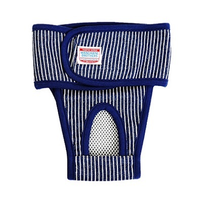 日本Mandarin Brothers 犬用 禮貌褲 - 藍間條 - (M) / (XL)