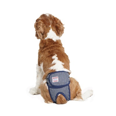 日本Mandarin Brothers 犬用 禮貌褲 - 藍間條 - (M) / (XL)