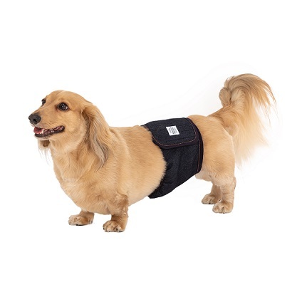 日本Mandarin Brothers 犬用 禮貌帶 - 深藍色 - (XL) / (XXL)