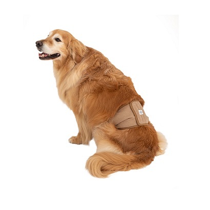 日本Mandarin Brothers 犬用 禮貌帶 - 米色 - (S) / (L)