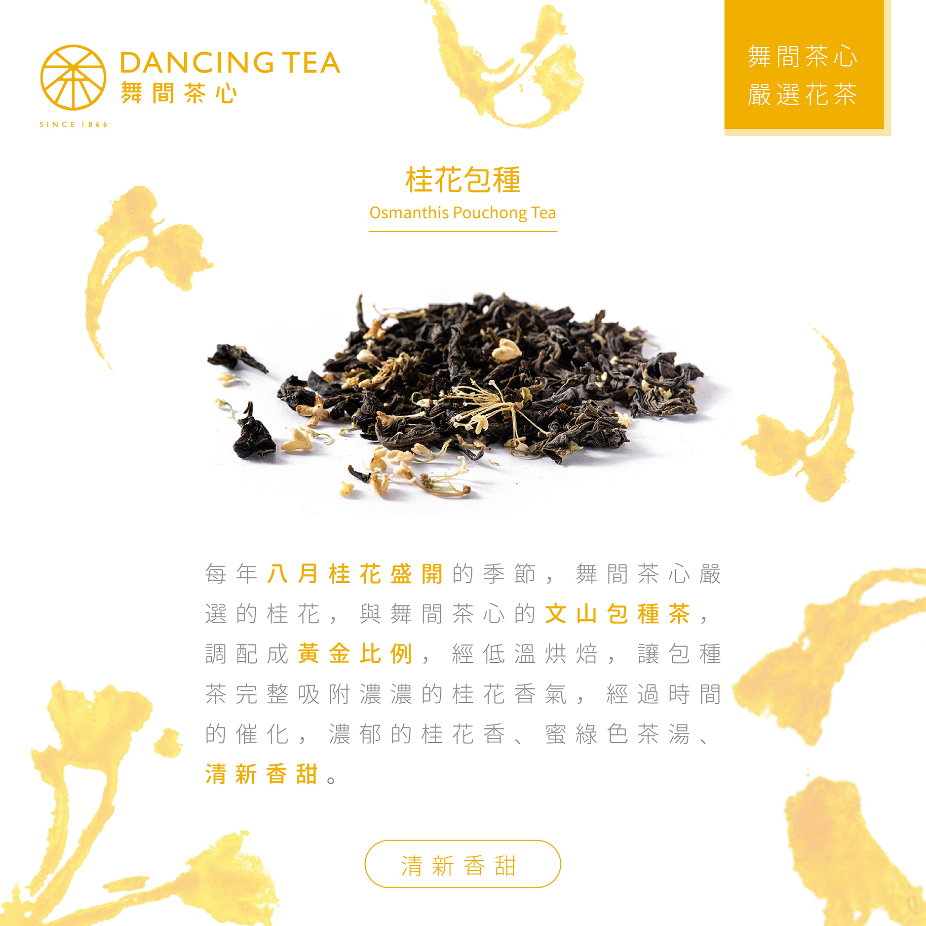 舞間茶心桂花包種茶包50入