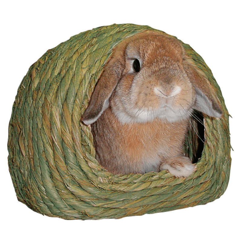 Kawai 消暑提摩西草屋 - L