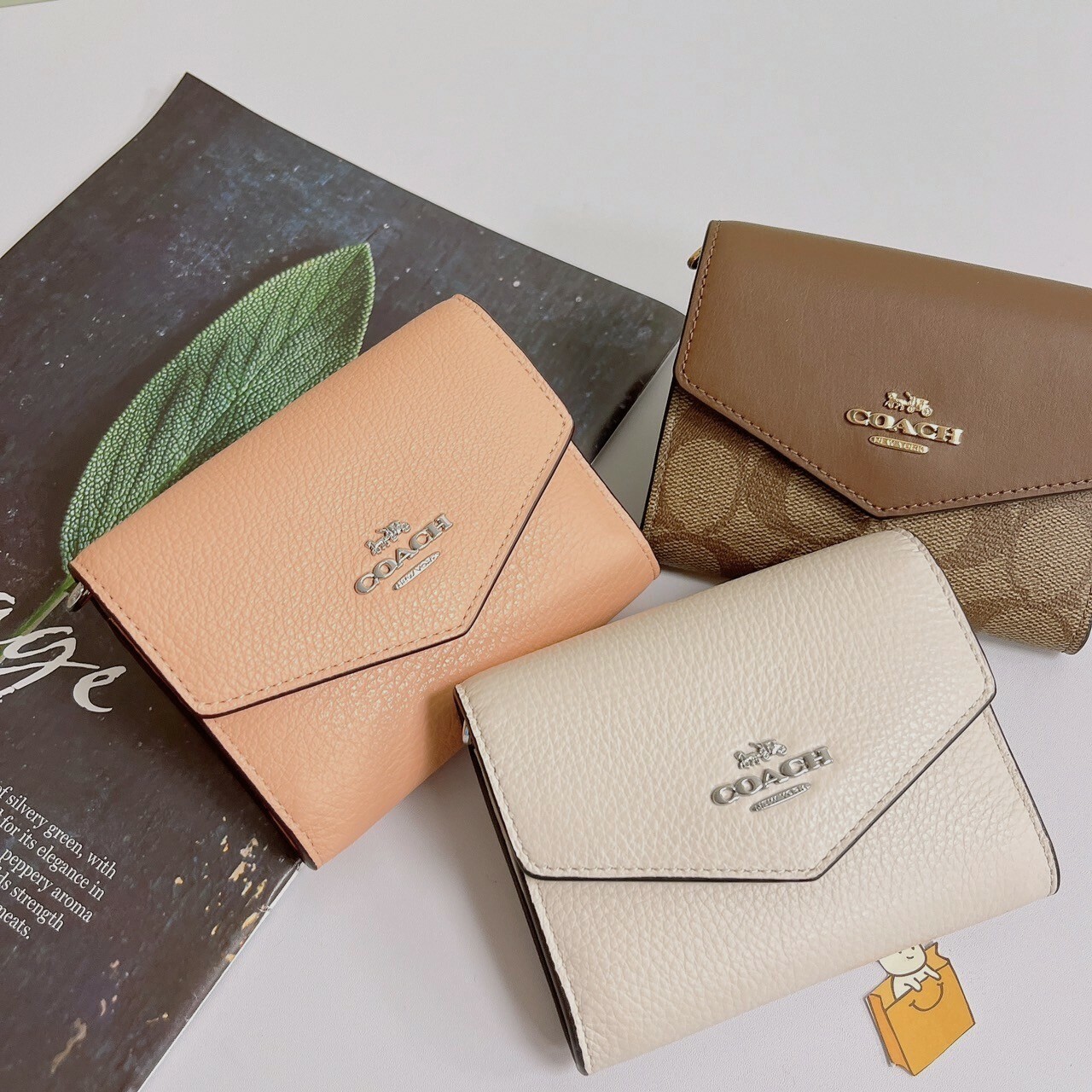 Mini Envelope Wallet With Strap In Signature Canvas