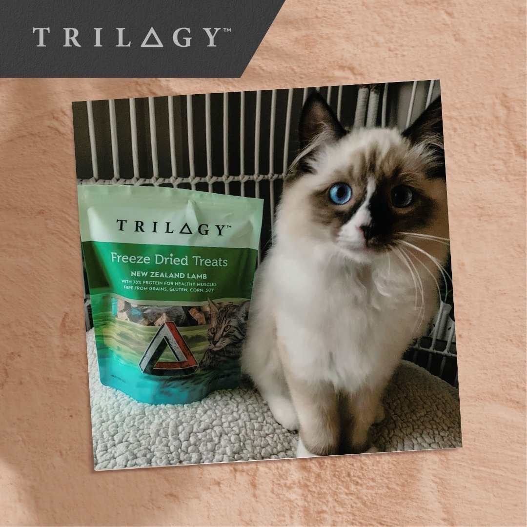 Trilogy™ 奇境 – 羊肺口味凍乾零食 50g