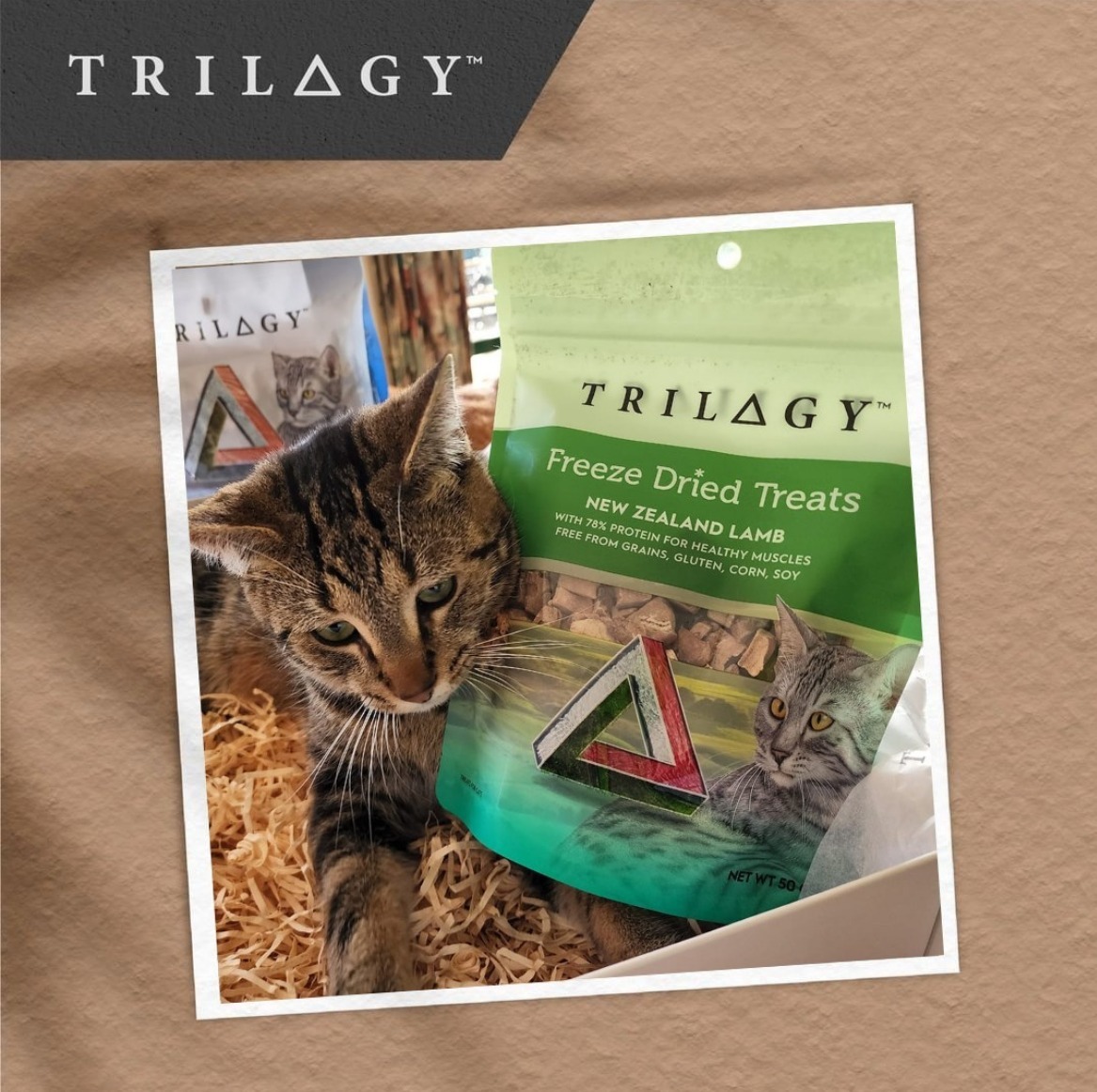 Trilogy™ 奇境 – 羊肺口味凍乾零食 50g