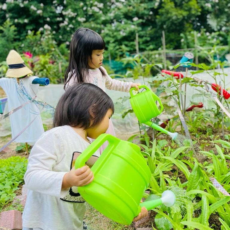城市農夫耕種班 (平均每月$450-550)