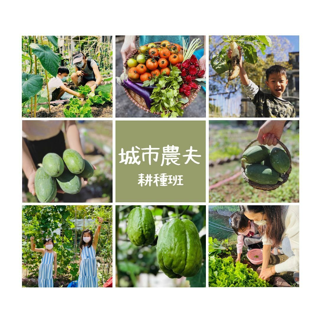 城市農夫耕種班 (平均每月$450-550)