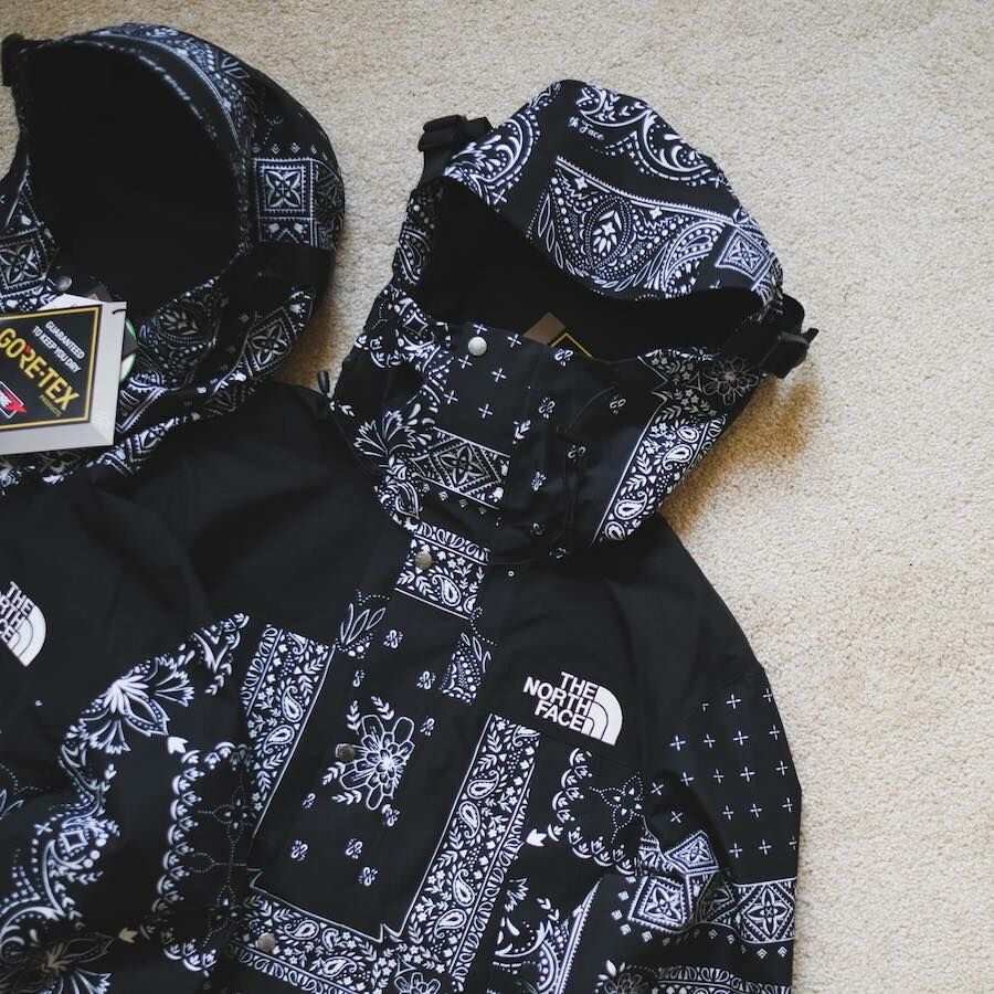 *限時優惠* The North Face x GoreTex 90’s 變形蟲 機能山岳外套