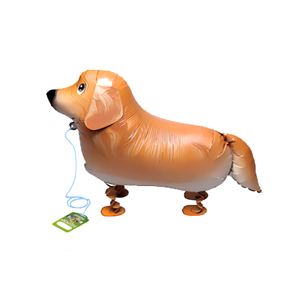 散步氣球丨小獵犬パピー レトリバー